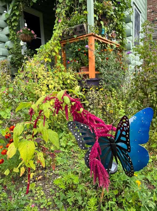 holly gardens.jpg