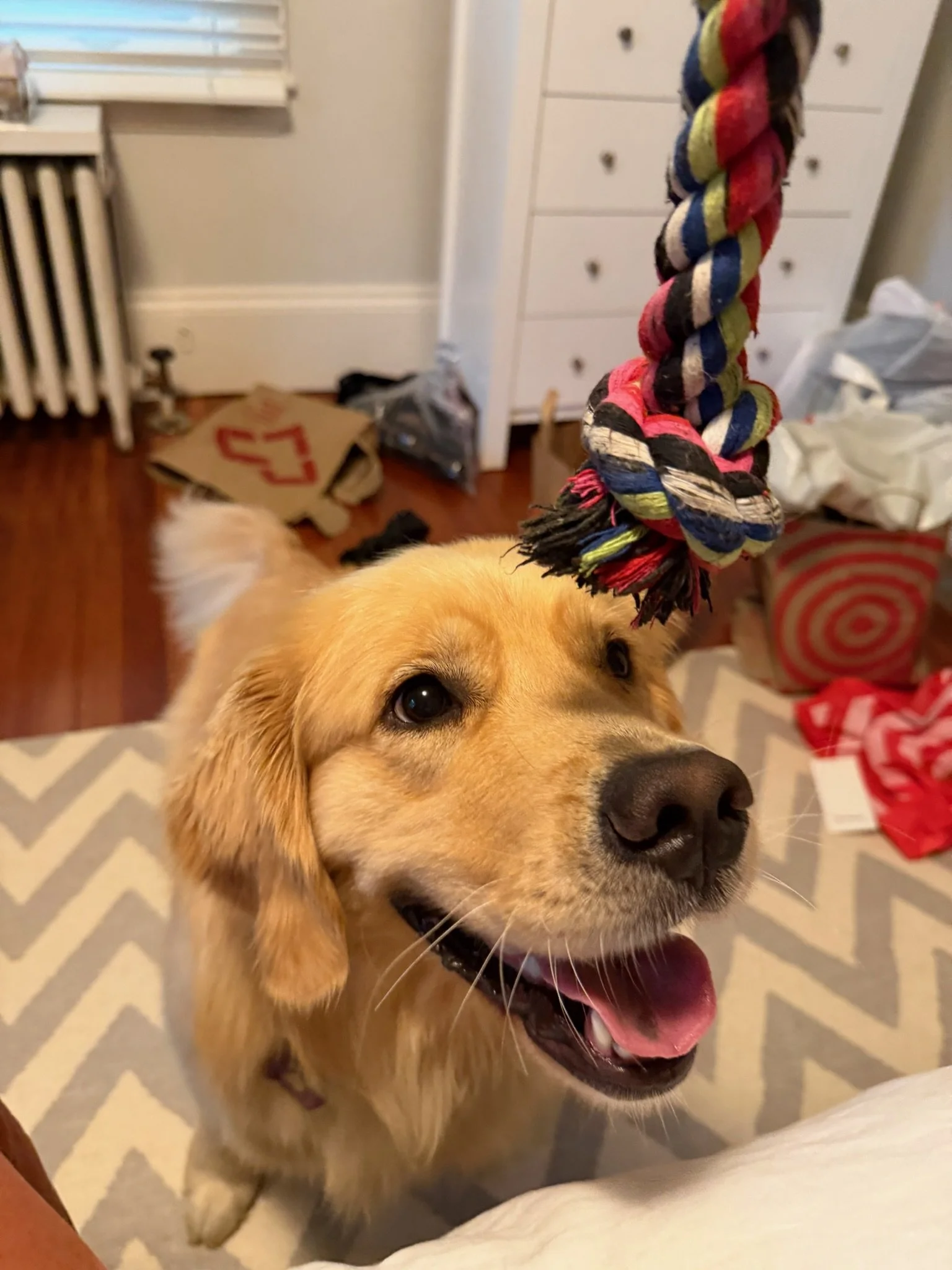 tillie.JPG