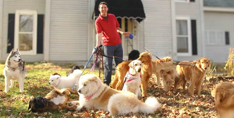 Guests enjoying a dog friendly stay at The Paw House Inn in Vermont during fall foliage.