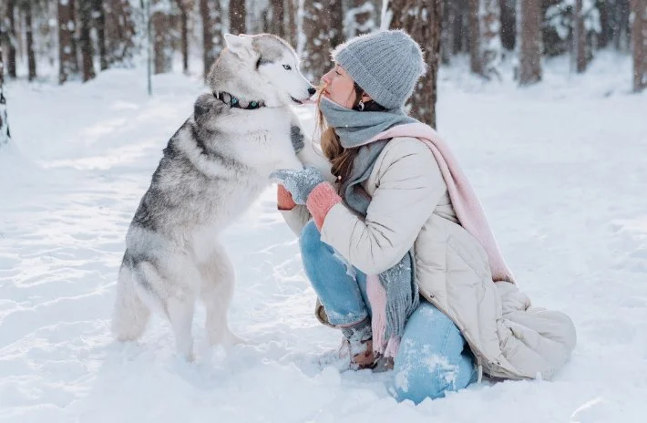 A woman wearing winter clothing, including a gray beanie, pink scarf, and white coat, kneeling in the snow and touching noses with a Siberian Husky dog in a snowy forest setting.