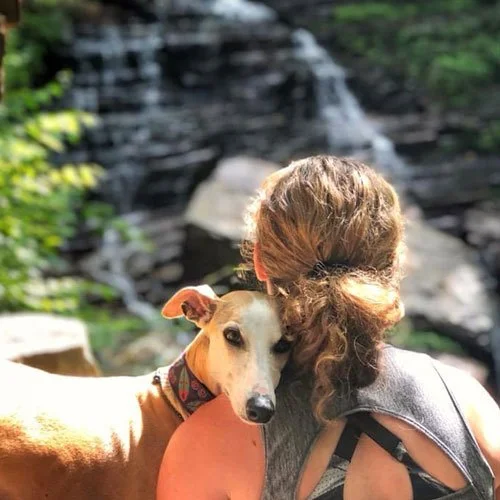 A  greyhound hugging a woman near a Vermont waterfall.