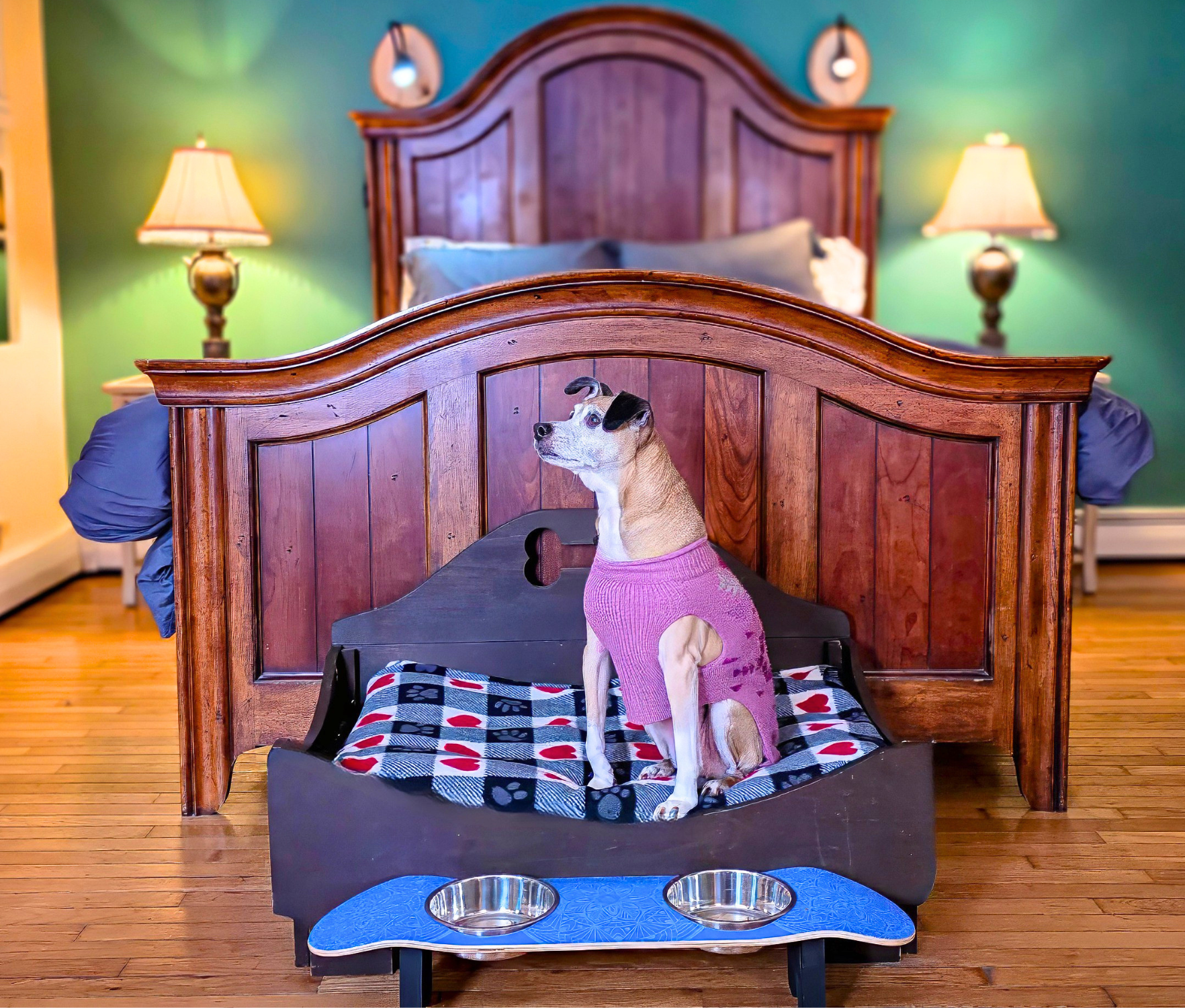 Dog relaxing on a custom-built bed in a pet friendly guest room in Vermont