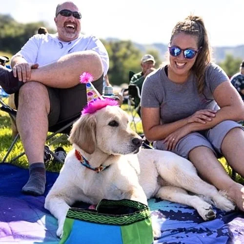 A man and a woman sitting on the grass outdoors with a yellow Labrador dog wearing a pink party hat. The man is laughing and the woman is smiling, both wearing sunglasses.