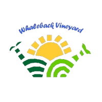 Colorful graphic with a yellow sun, green landscape, and blue text reading 'Where in the World?'