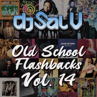 Sal V - Old School Flashbacks (Vol 14)