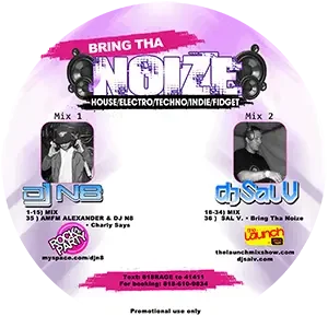 Cover artwork for “Bring Tha Noize,” an Electro House Music mix by DJ Sal V.