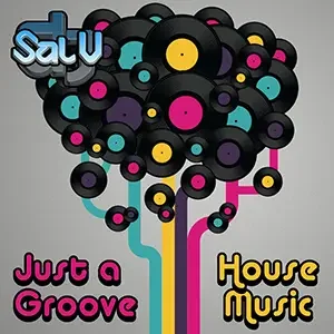 Cover artwork for “Just A Groove (Mix 1),” a House Music mix by DJ Sal V.