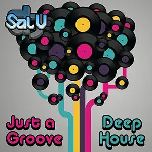 Cover artwork for “Just A Groove (Mix 2),” a Deep House Music mix by DJ Sal V.