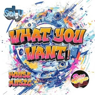 Sal V - What You Want
