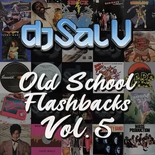 Sal V - Old School Flashbacks (Vol 5).jpg