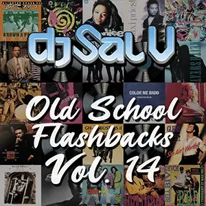 Cover artwork for “Old School Flashbacks Vol. 14,” a Hip Hop and R&B DJ mix by Sal V.