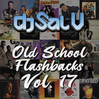 Sal V - Old School Flashbacks (Vol 17)