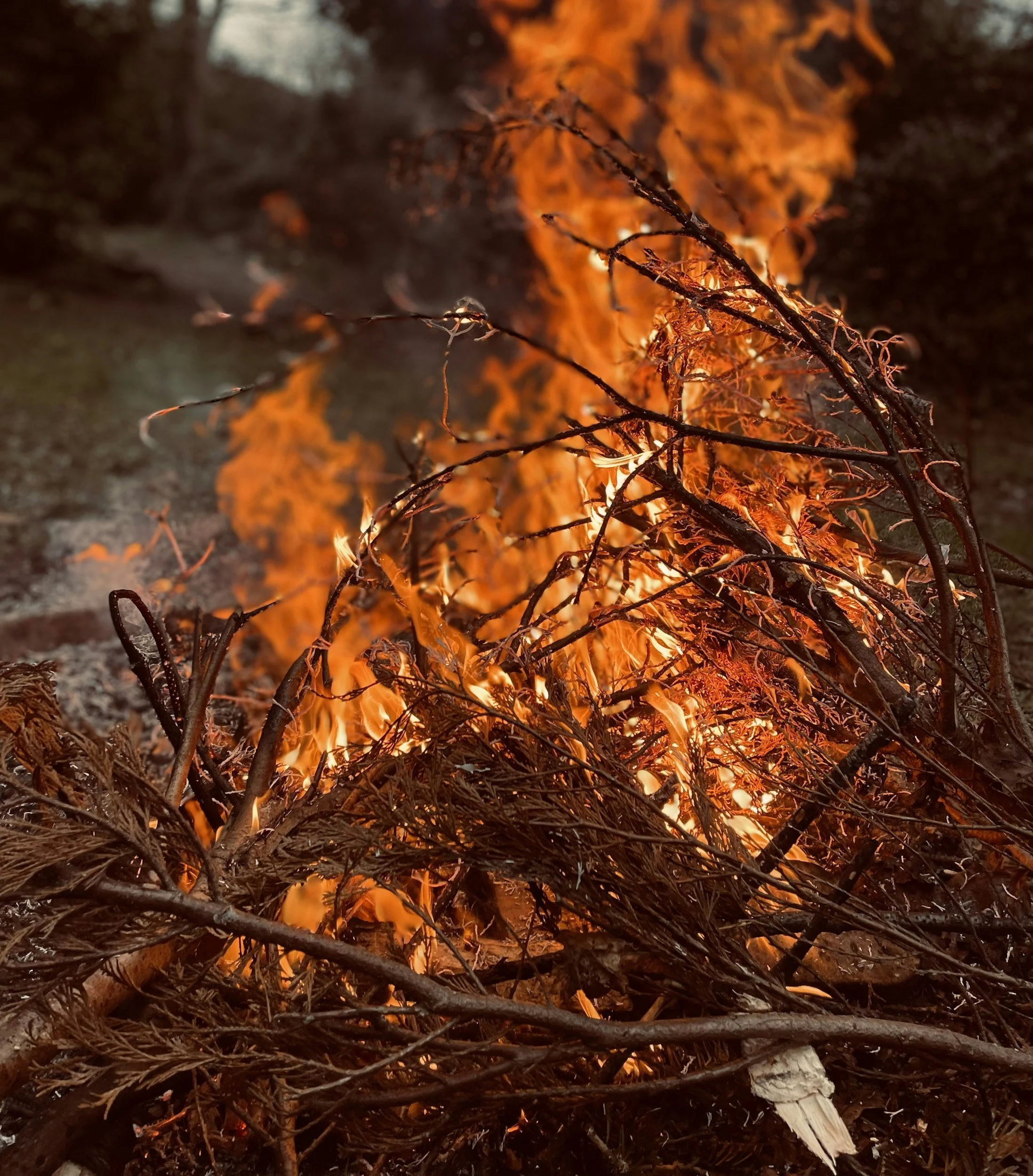 A close-up view of burning dry branches and leaves with bright flames and smoke.