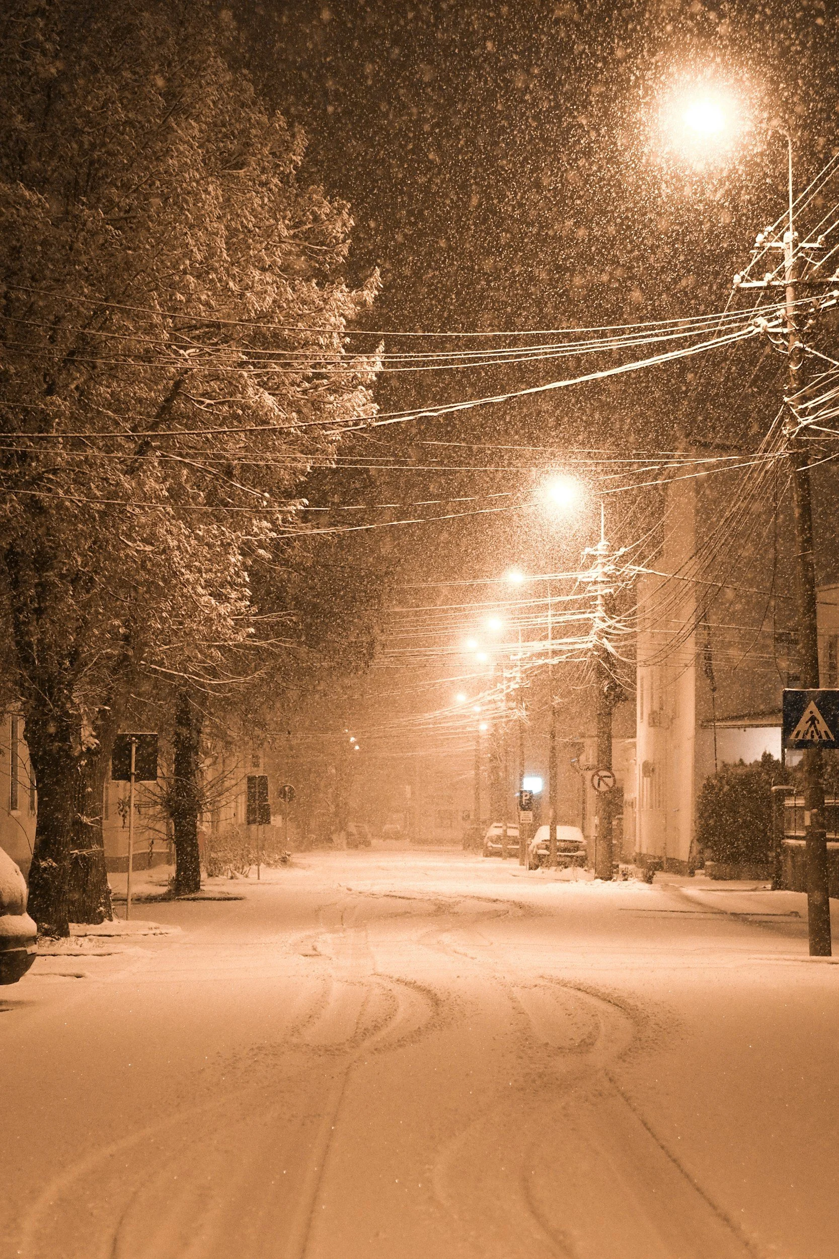Winter Storm Prep: Stocking Up Before the Cold Hits