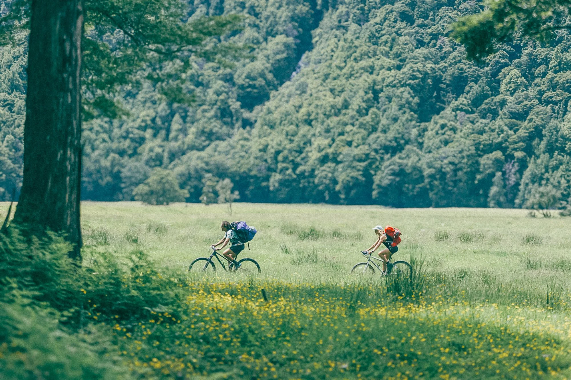 Two people riding bicycles through a lush green field with yellow flowers, trees, and a forested hillside in the background.