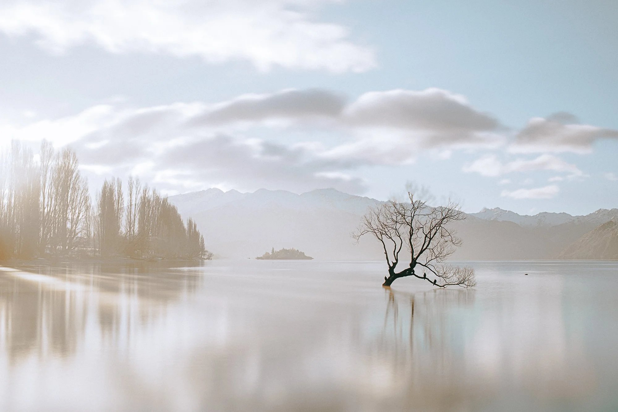 A solitary, leafless tree partially submerged in calm, reflective water with mountains and clouds in the background.