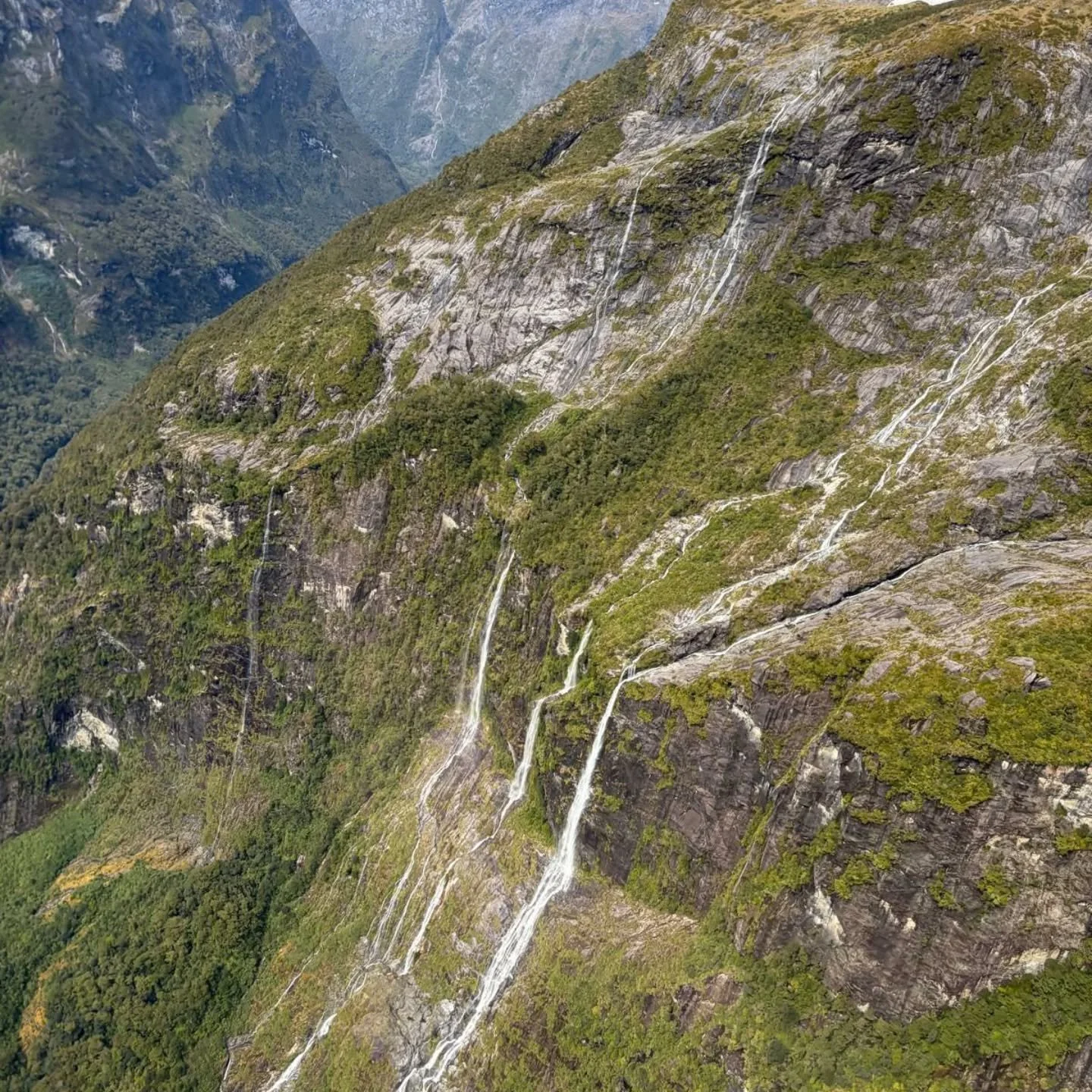 Frank and Karin had a fantastic experience flying with @aspiringheli flying over Mt Aspiring National Park and Fiordland, landing on a glacier enroute to Milford Sound. 
They were still buzzing with excitement the next morning at breakfast. 😃 🚁 ⛰

