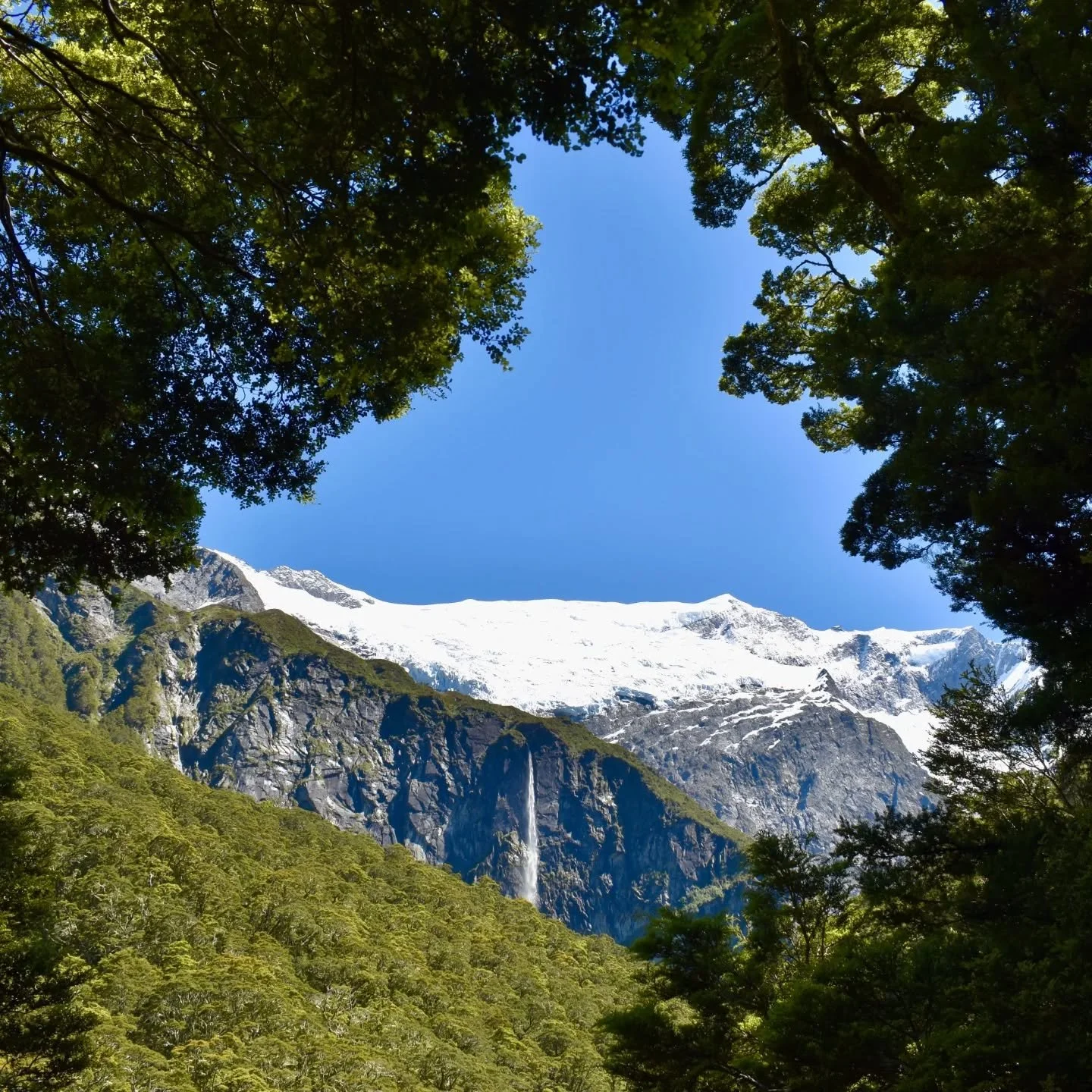 The magnificent #robroyglacierwalk 🌄
A must do when you come to stay in Wānaka 😃 

#robroyglacier #newzealand #mtaspiringnationalpark #wanaka #mountaspiring #glacier #robroy #mountaspiringnationalpark #robroyglaciertrack #nz #southisland #southerna