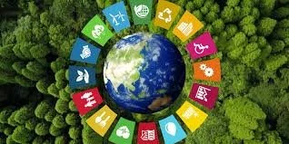 SUSTAINABILITY TRENDS IN 2026