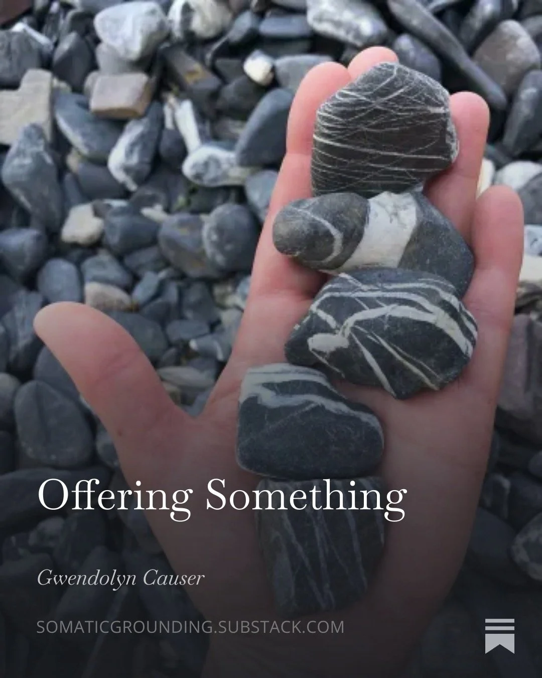 Four black stones with white stripes held in a person's open hand. The background is of the rocky beach, covered in more black and white stones.