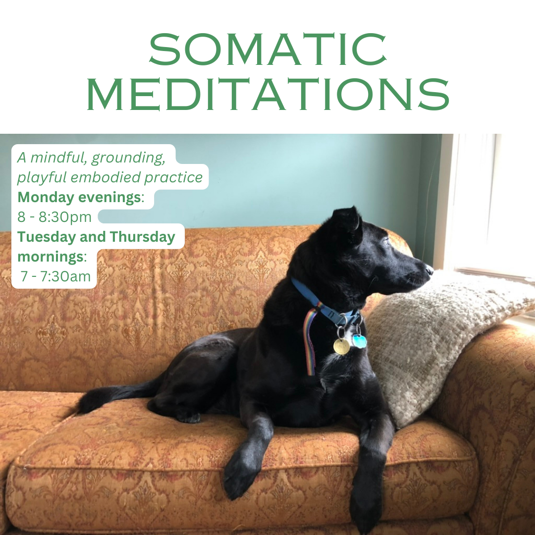 A flyer for somatic meditations featuring a black dog sitting on a patterned orange couch, looking out the window.