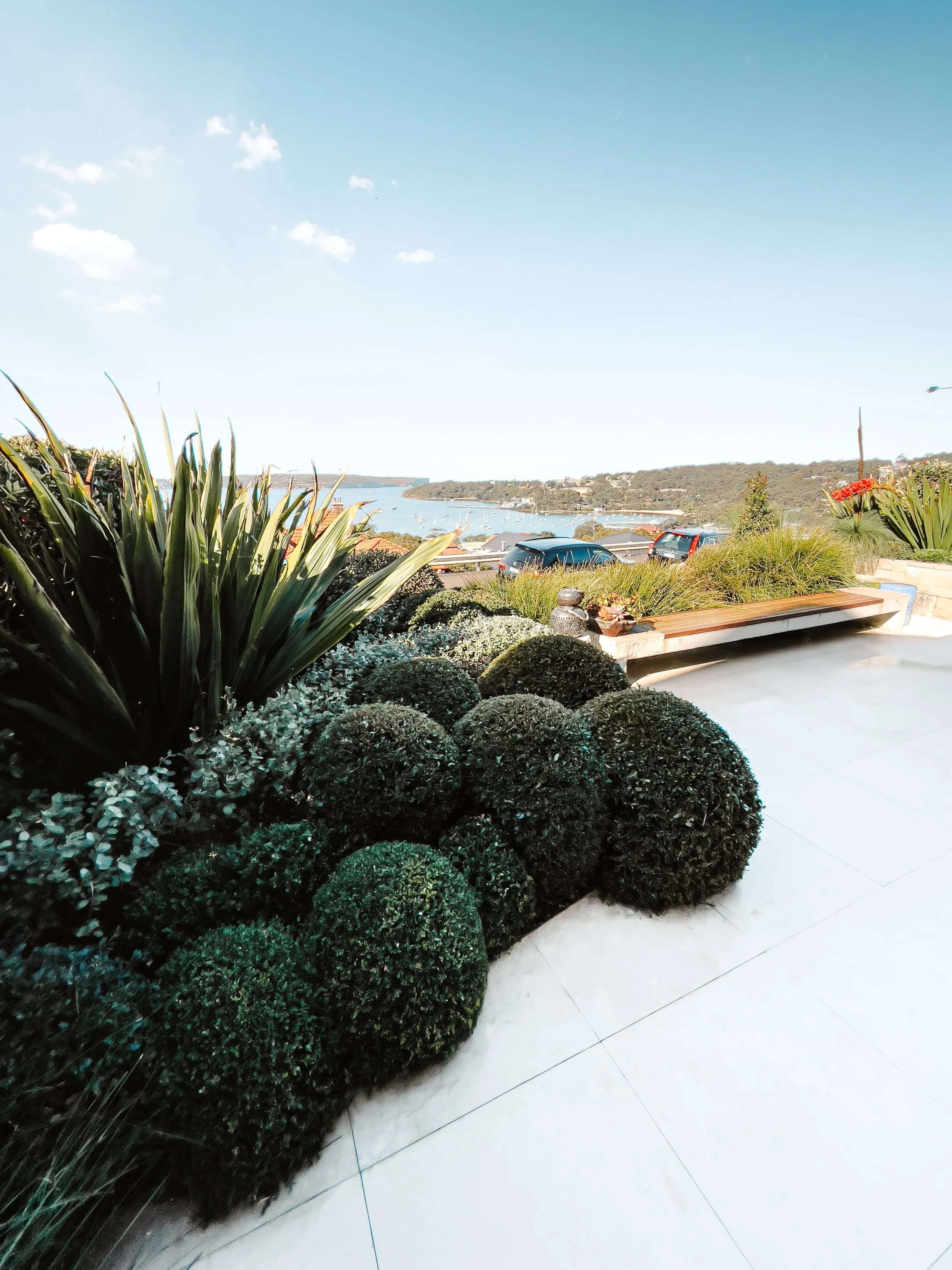 View from a patio overlooking a harbor and cars, with landscaped bushes and plants in the foreground.