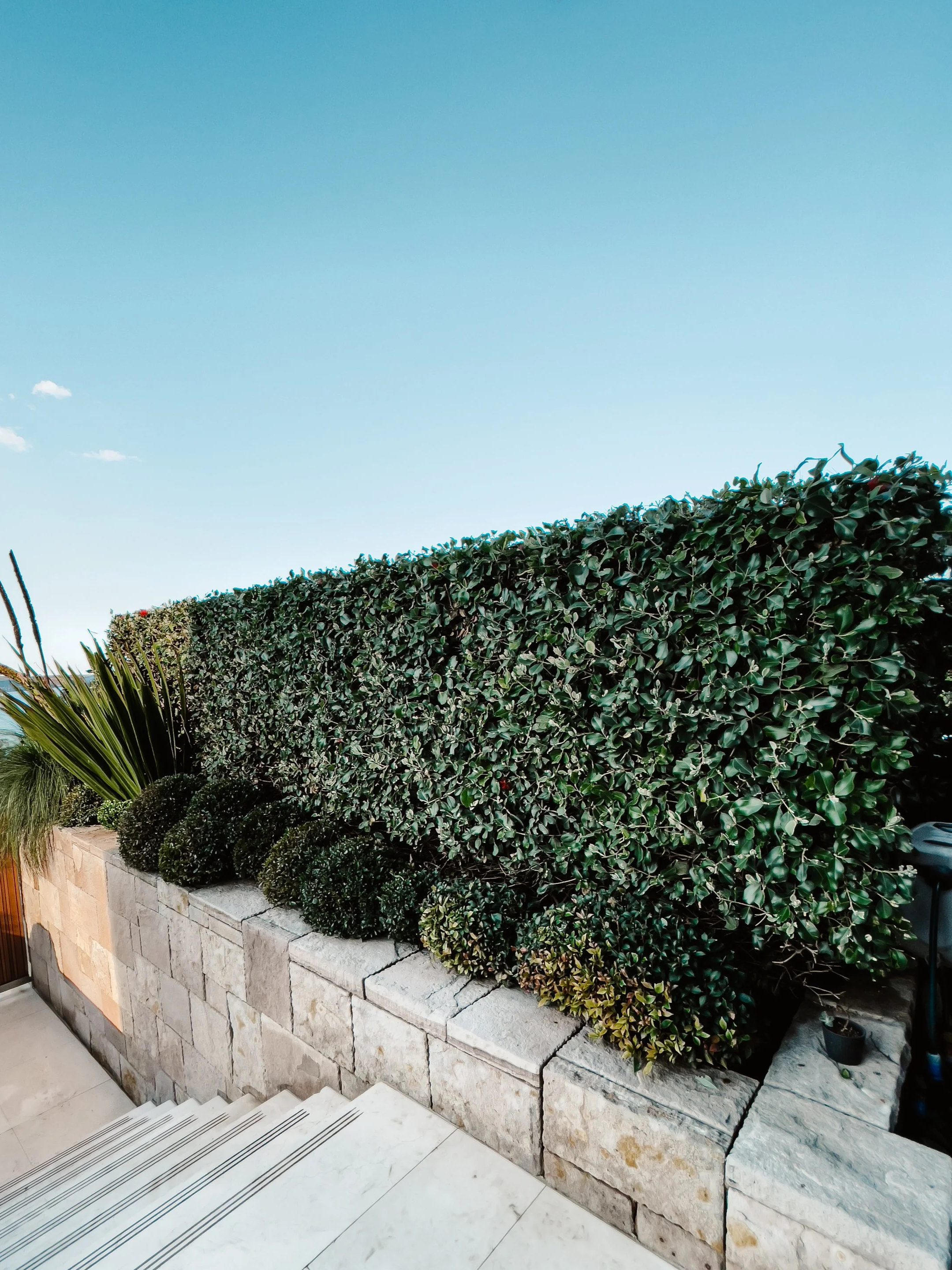 A stone planter box filled with trimmed bushes and plants, with a large green hedge behind it, under a blue sky with a few small clouds.