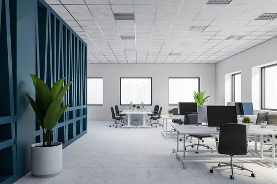 Modern office space with workstations, black chairs, potted plants, and large windows.