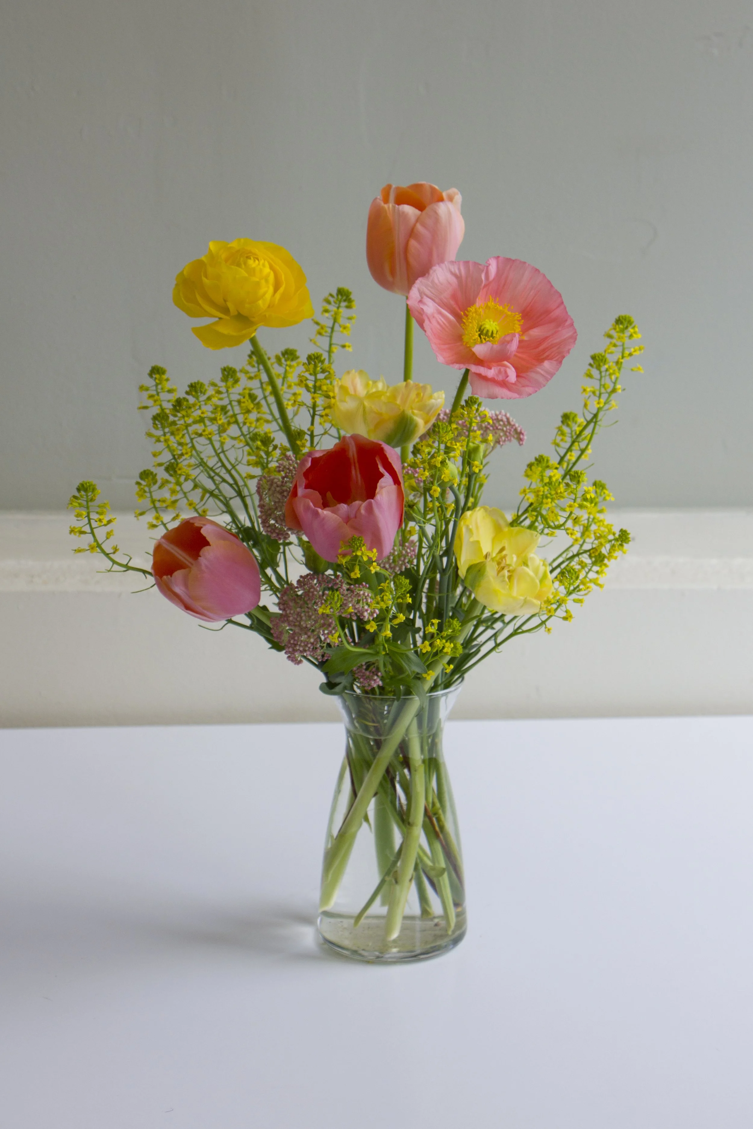 Photo Apr 24 2025, 3 13 54 PM.jpg