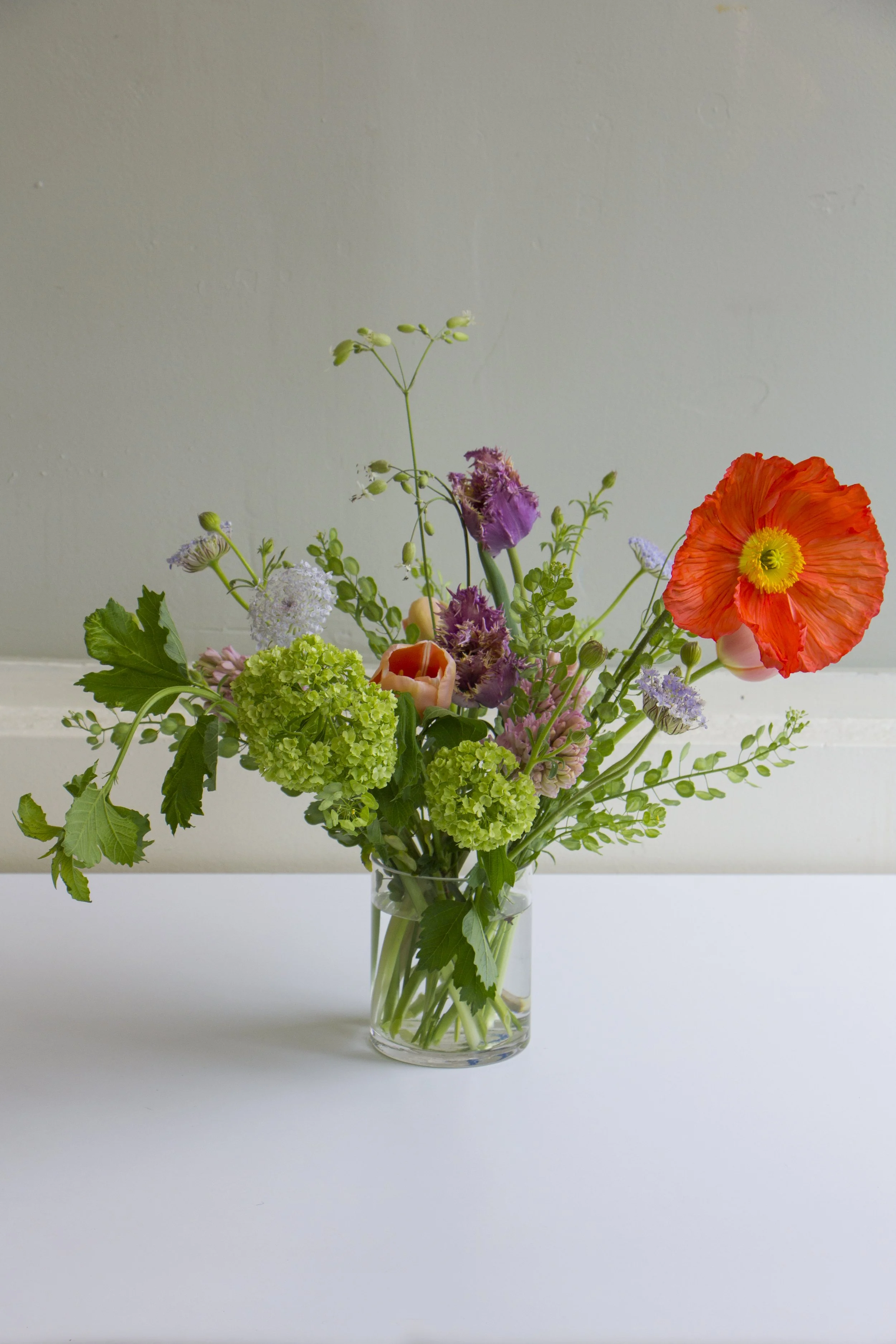 Photo Apr 24 2025, 3 21 09 PM.jpg