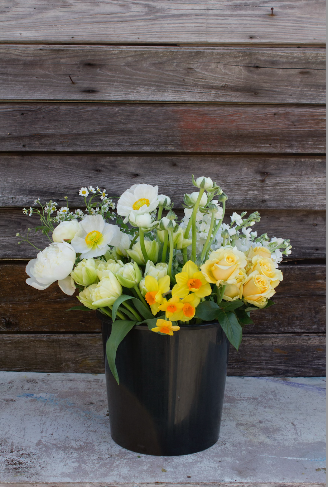 Screen Shot 2024-03-16 at 9.53.46 AM.png