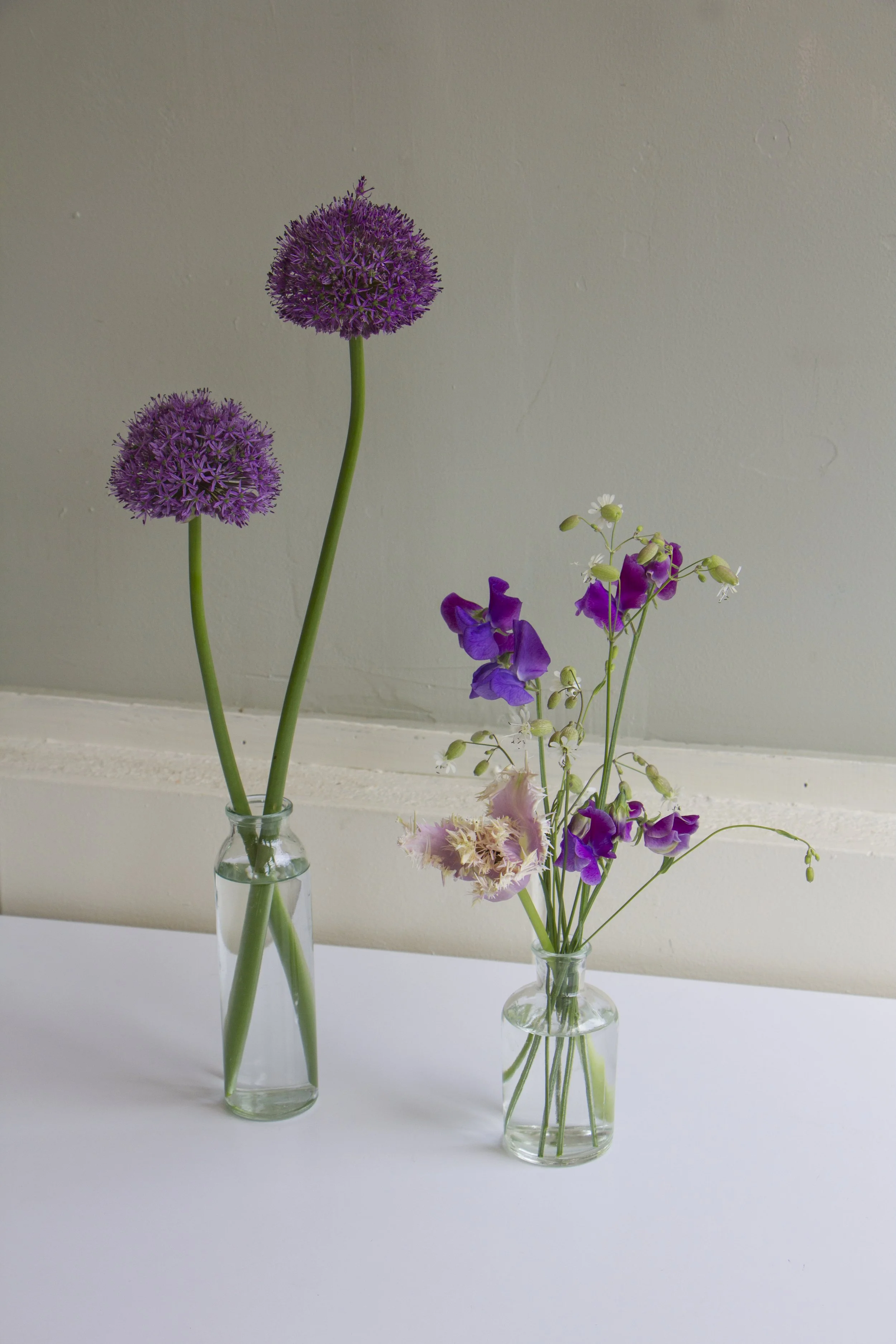 Photo Apr 24 2025, 2 56 10 PM.jpg