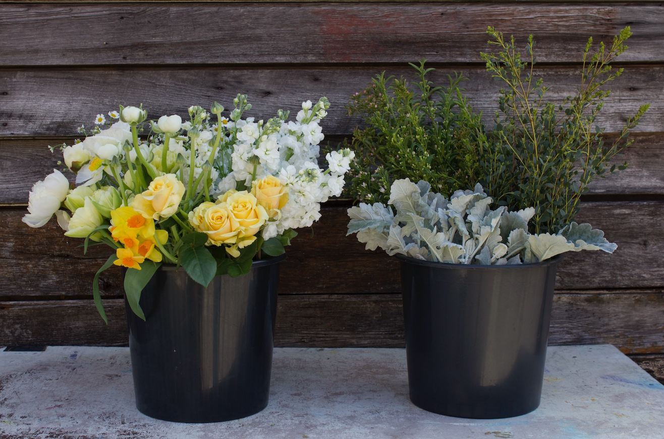 Screen Shot 2024-03-16 at 9.54.09 AM.png