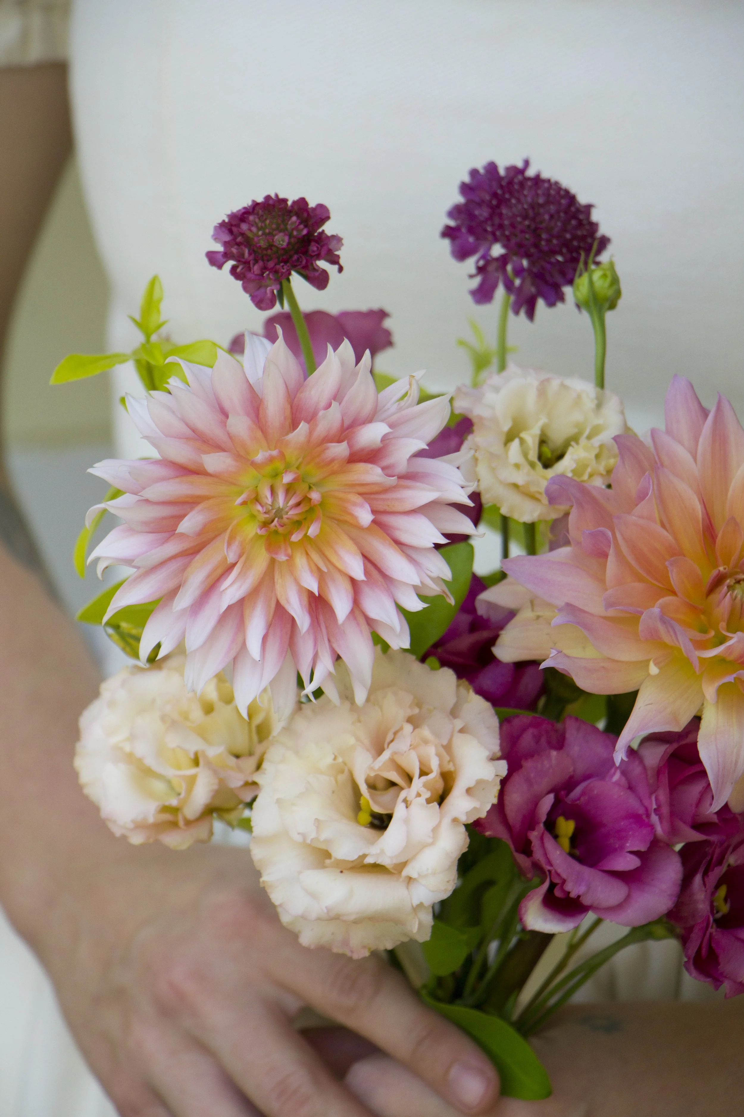 Photo Aug 01 2025, 2 57 52 PM.jpg