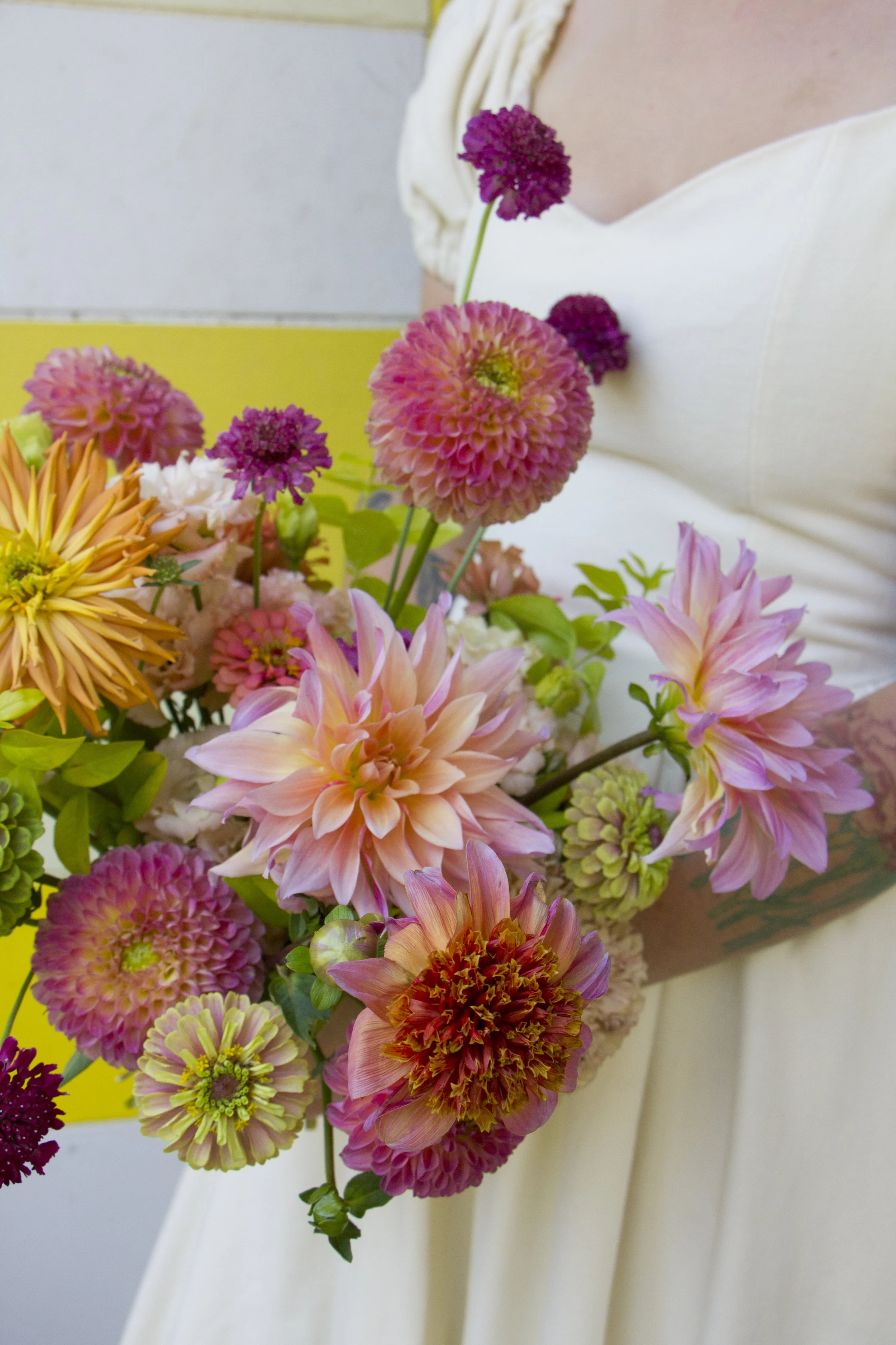 Photo Aug 01 2025, 2 53 19 PM.jpg