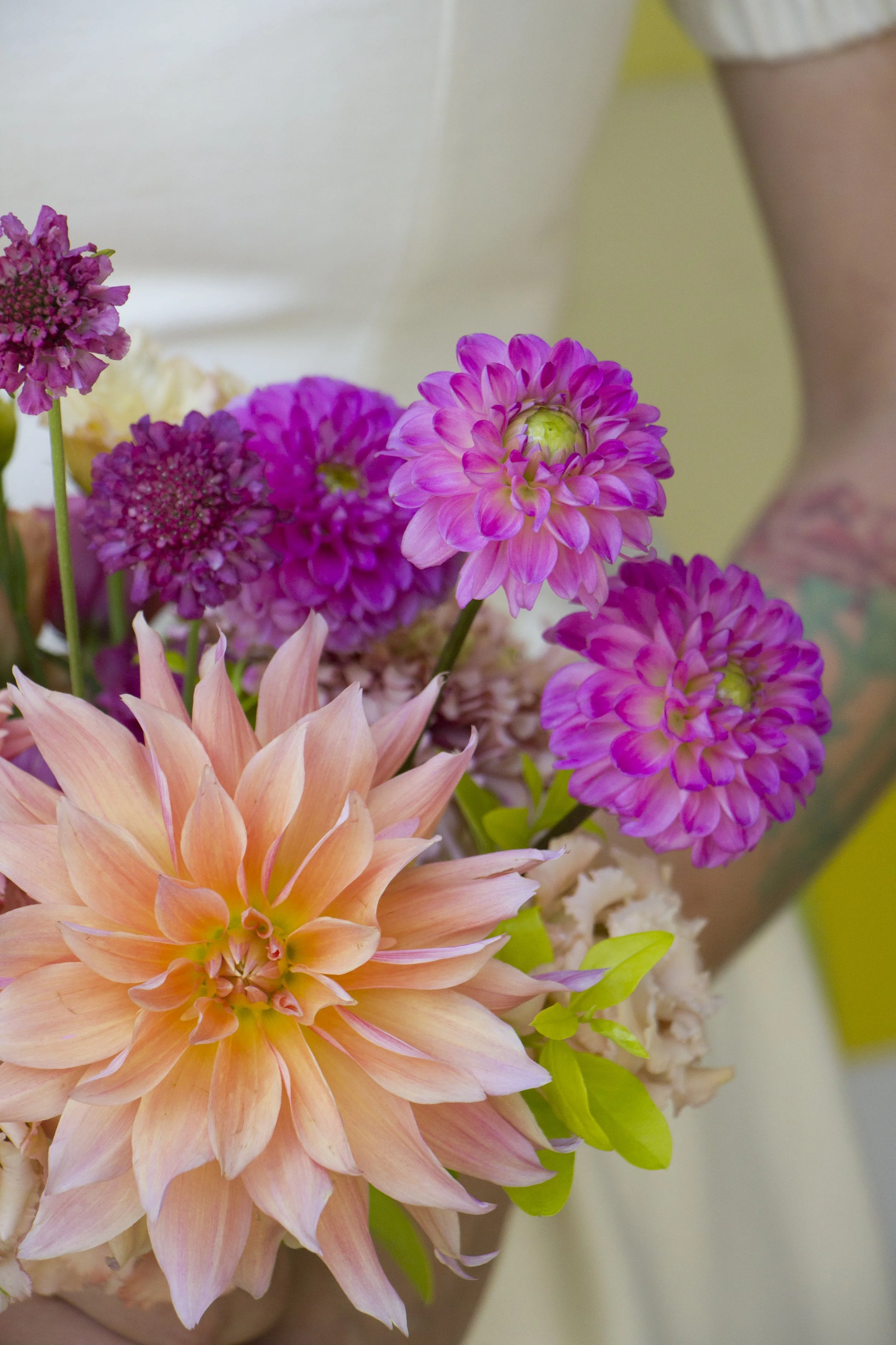 Photo Aug 01 2025, 2 55 19 PM.jpg