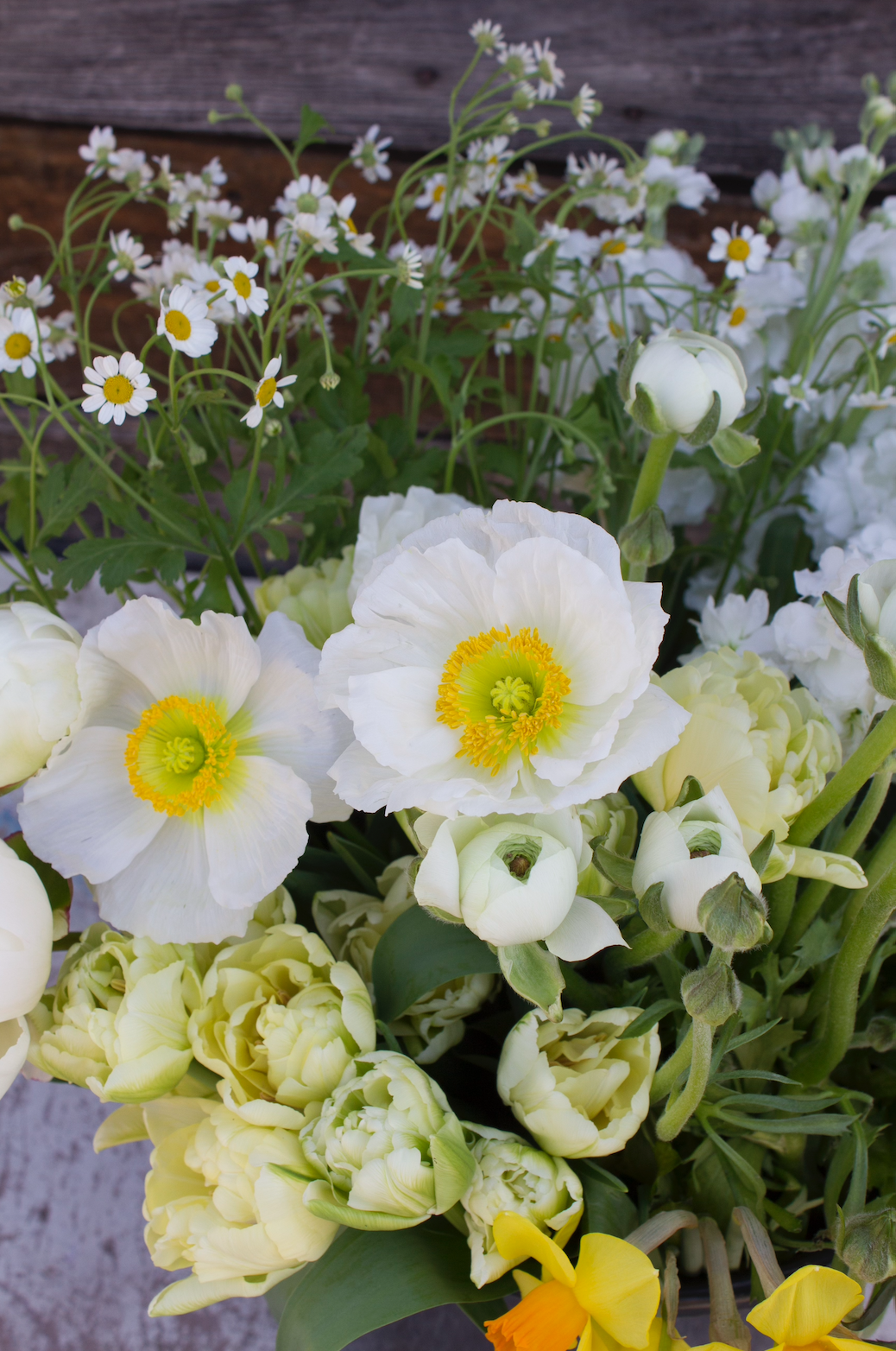 Screen Shot 2024-03-16 at 9.53.57 AM.png