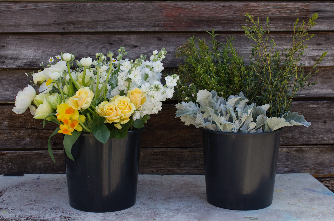 Screen Shot 2024-03-16 at 9.56.49 AM.png