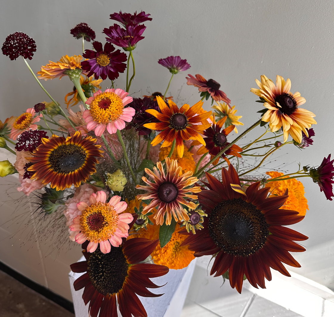 Screen Shot 2025-09-25 at 10.45.23 AM.png