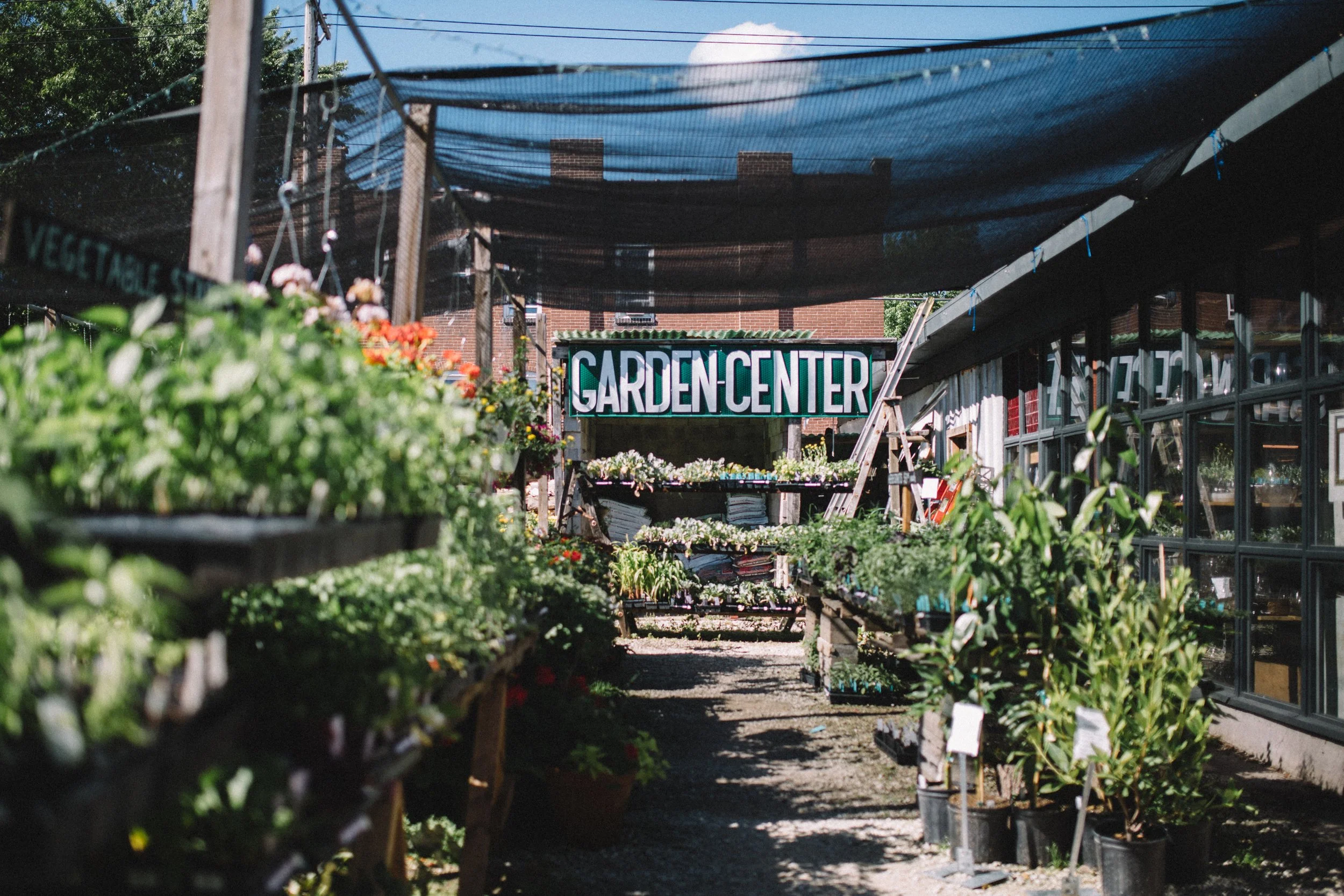 Flowers and Weeds-10.jpg
