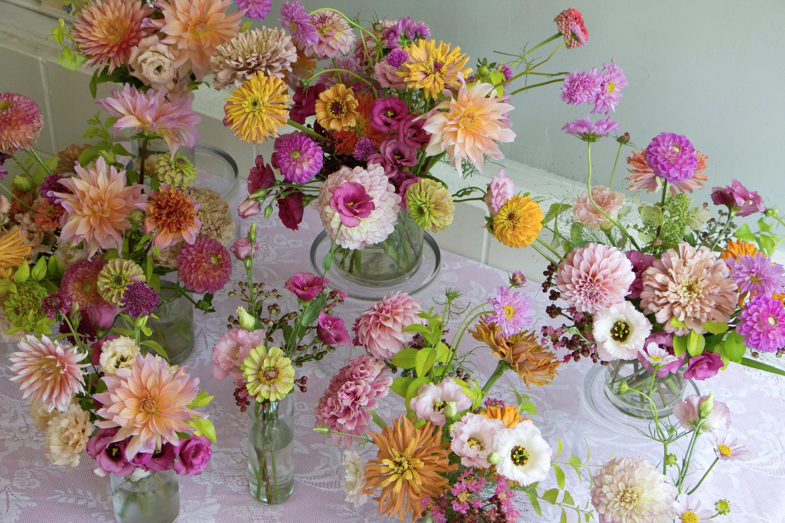 Photo Aug 01 2025, 3 52 48 PM.jpg