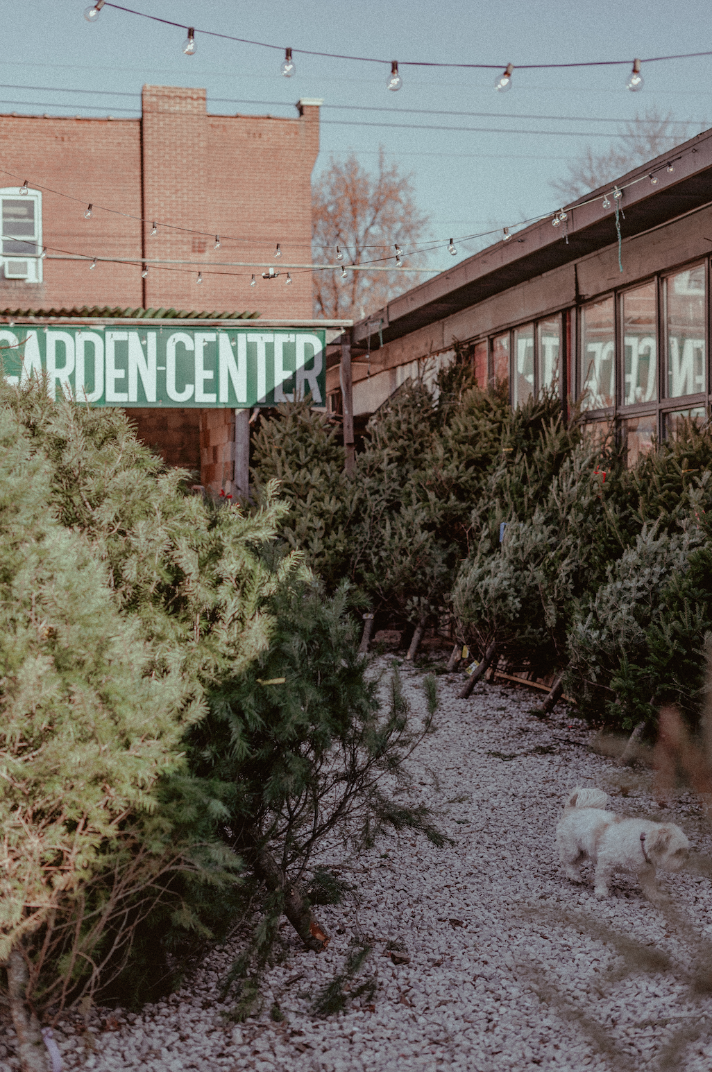 Screen Shot 2025-10-29 at 10.29.51 AM.png