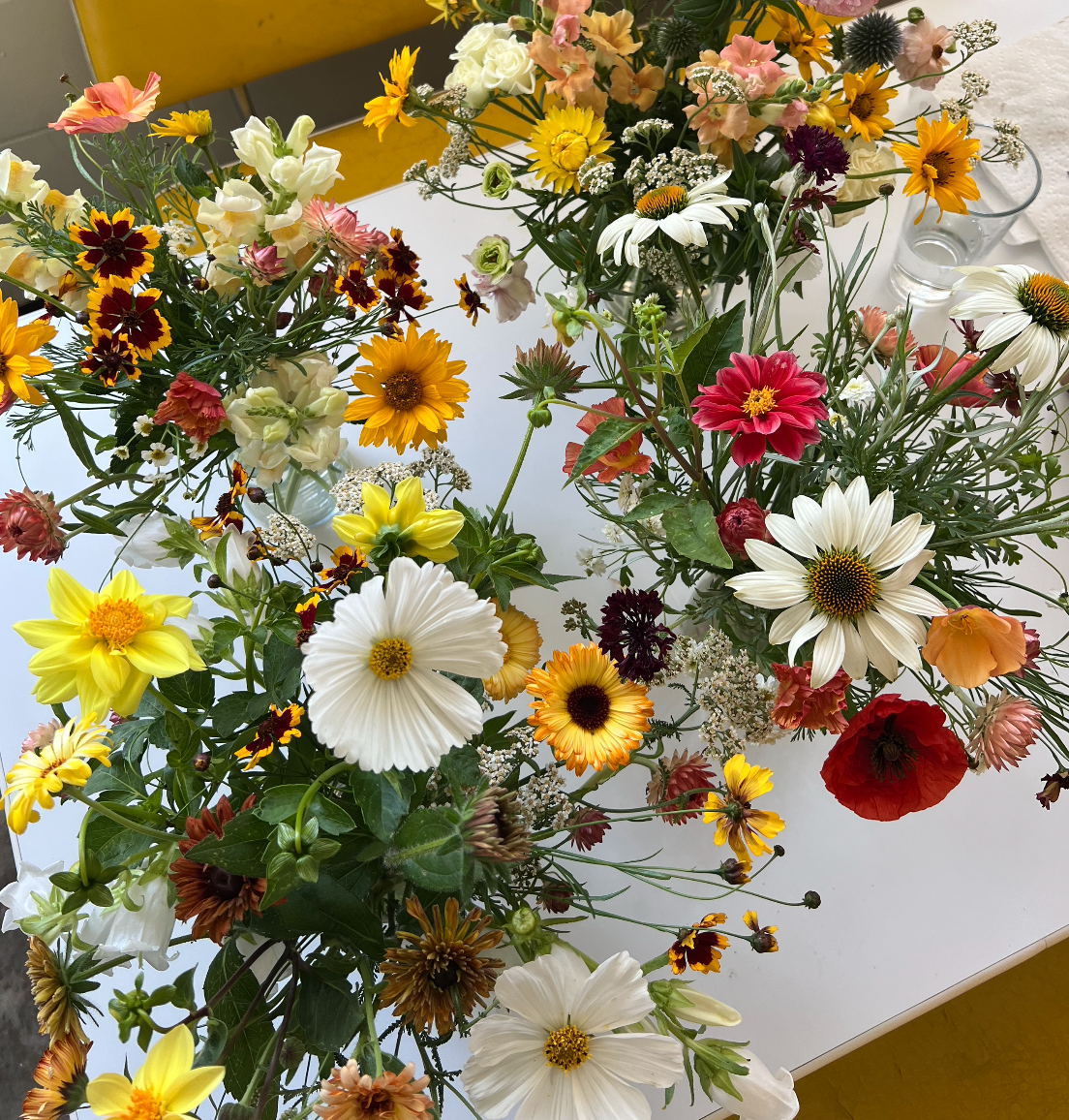 Flowers & Weeds