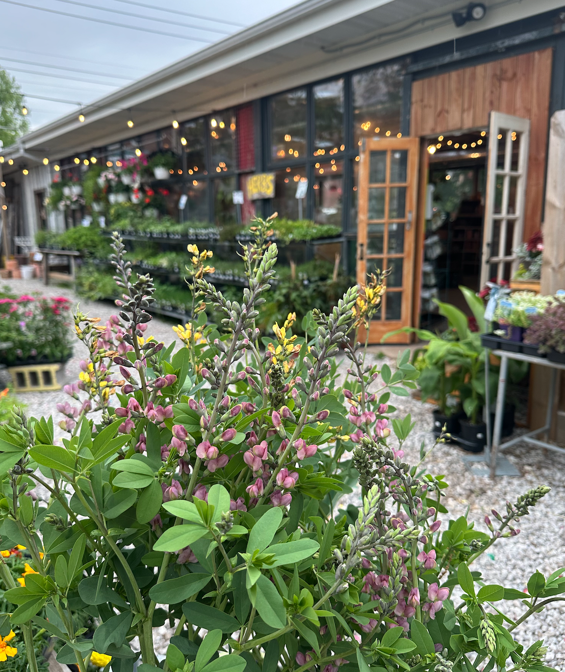 Screen Shot 2025-12-12 at 4.09.59 PM.png