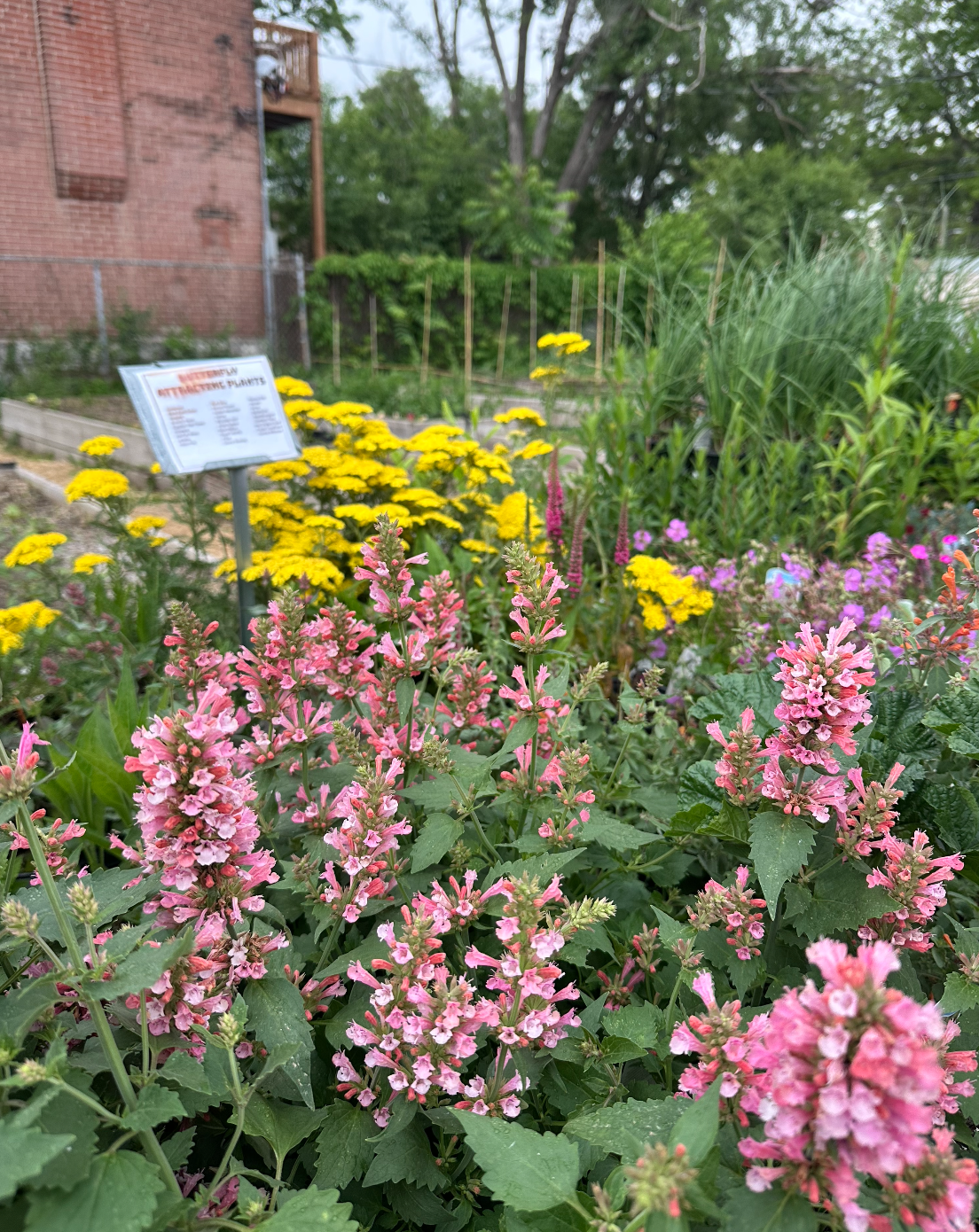 Screen Shot 2025-12-12 at 4.10.10 PM.png