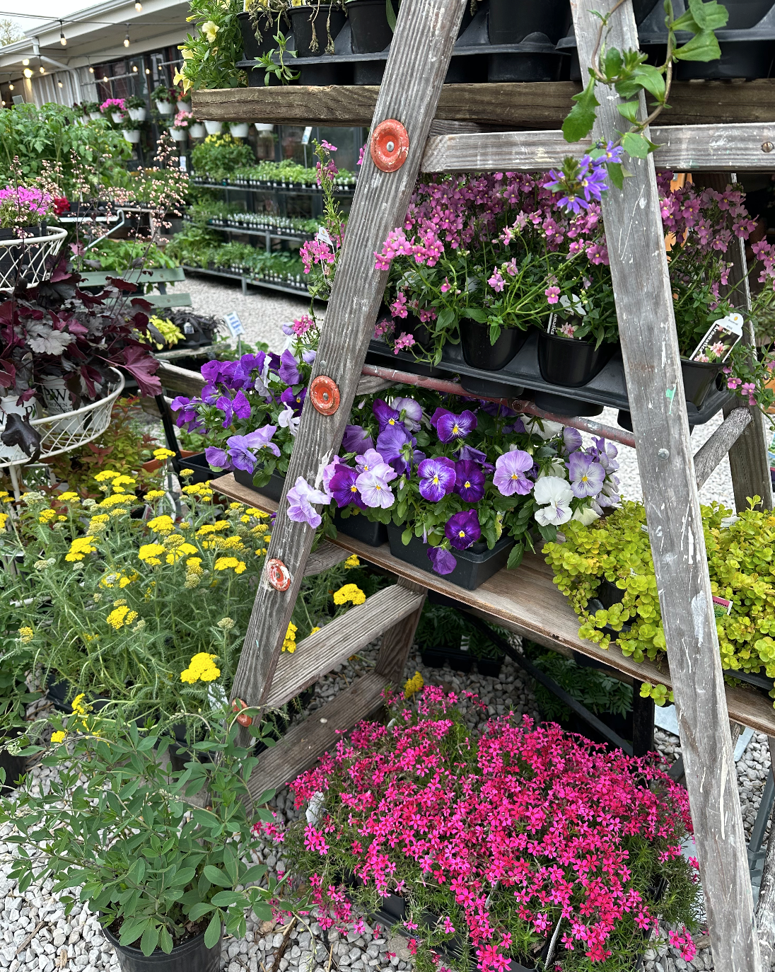 Screen Shot 2025-12-12 at 4.10.35 PM.png