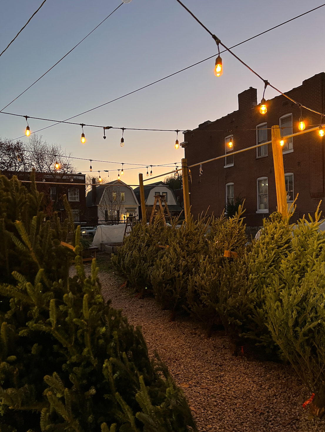 Screen Shot 2025-12-17 at 12.25.24 PM.png