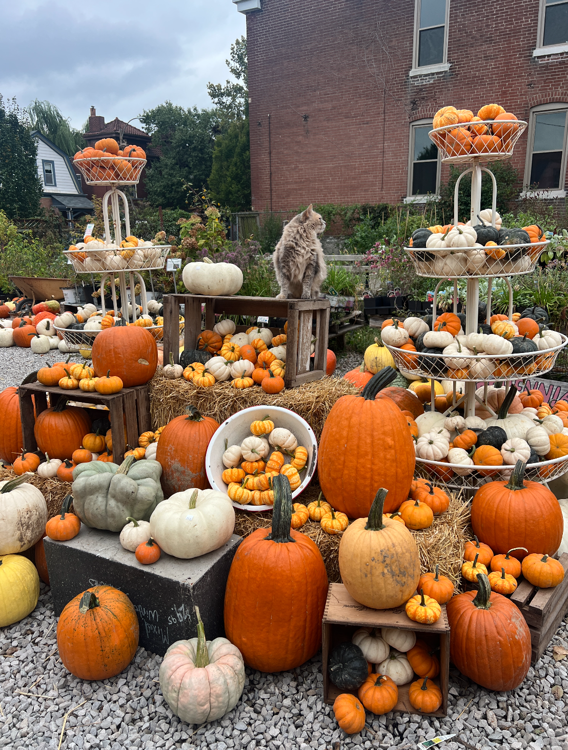 Screen Shot 2025-12-17 at 12.26.35 PM.png