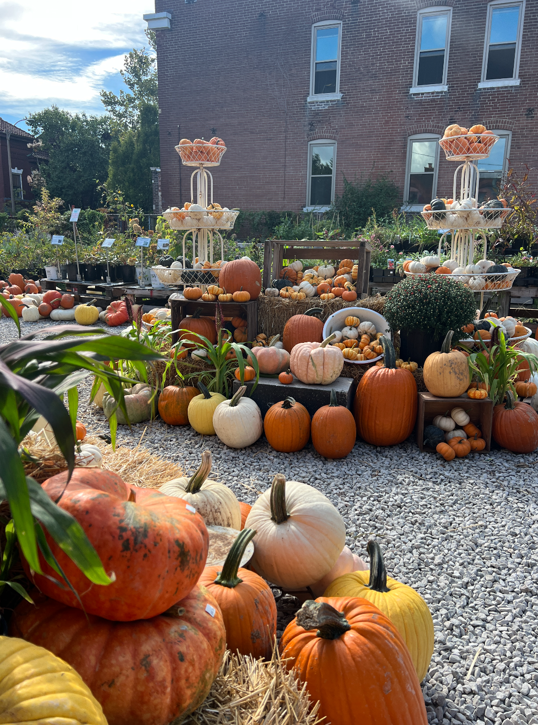 Screen Shot 2025-12-17 at 12.26.44 PM.png