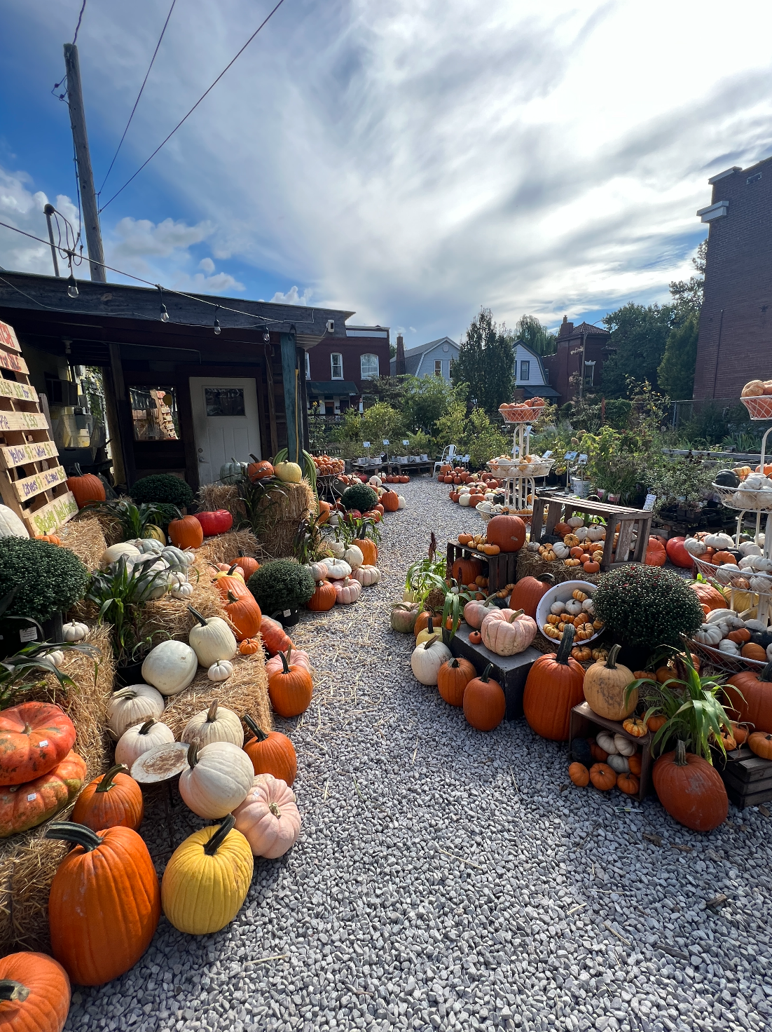 Screen Shot 2025-12-17 at 12.26.53 PM.png